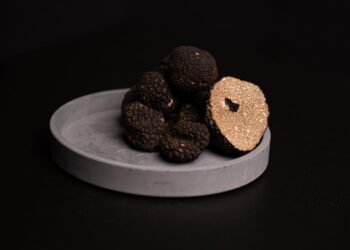 A Surprise for Truffle Lovers