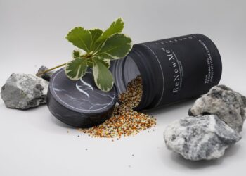 ReNewMe – Your smart path to the future of well-being